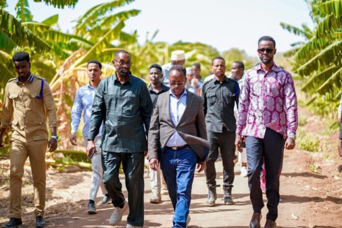 Somali Agriculture Ministry pledges action to improve irrigation and boost crop production in Afgooye.