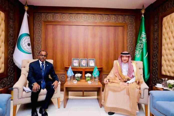 Somalia and Saudi Arabia discuss strengthening regional stability and security cooperation