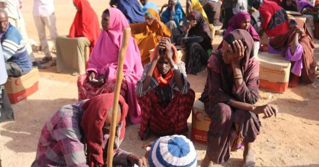 UN warns 6.5M in Somalia face severe hunger by March 2026.