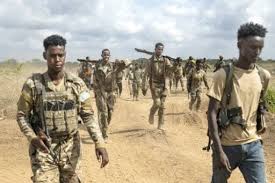 Somali National Army conducts planned security operation in Hiiraan region.
