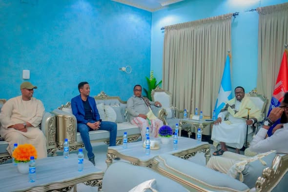 Deputy prime minister meets Banaadir governor Muungaab in Mogadishu