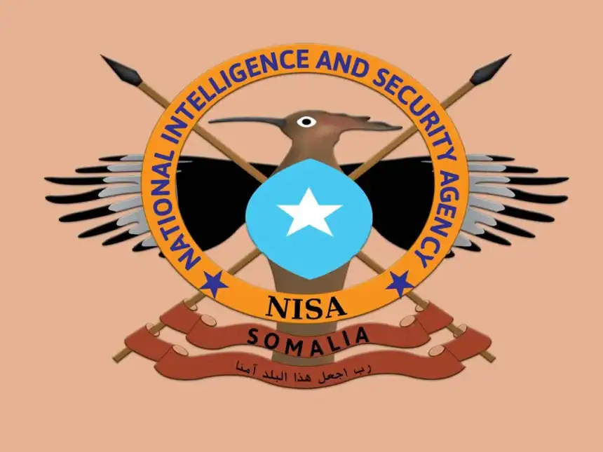 Taliska Hay’adda Sirdoonka iyo Nabadsugidda Qaranka (NISA) oo shaaciyay duqeyn lagu dilay xubno ka tirsan Al-Shabaab