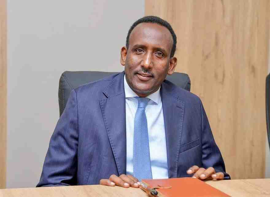 Somalia Dismisses Former Opposition Figure from Immigration Post After Four Months