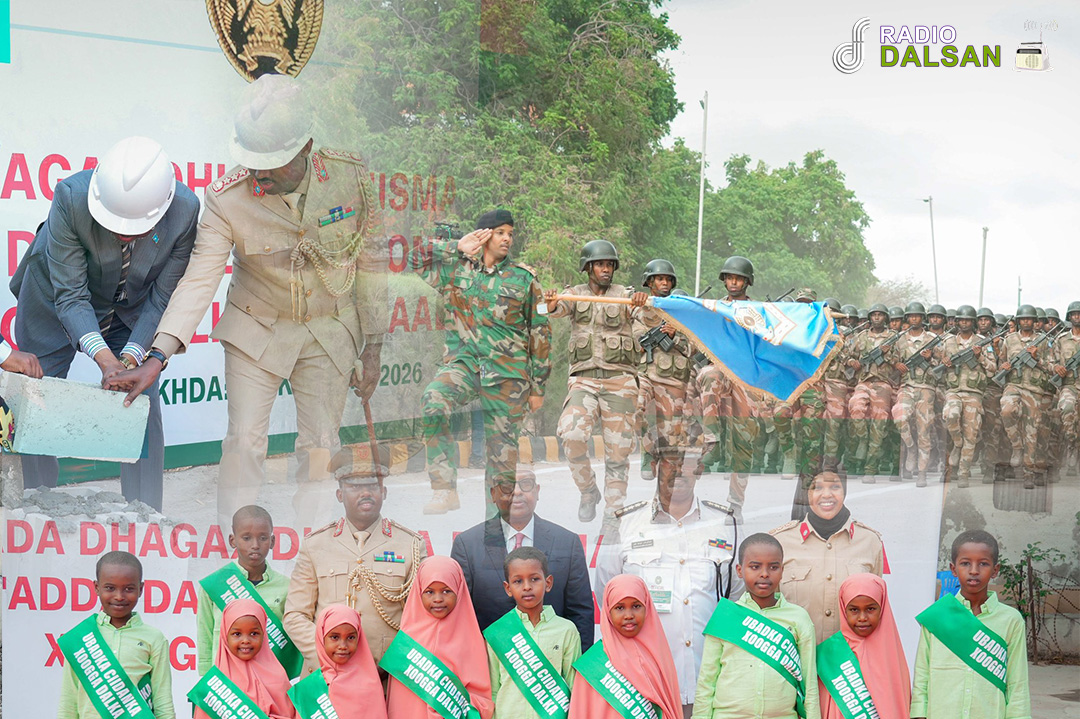 Waa maxay horumarka dhabta ah ee ka socda Xero Fiyaamo