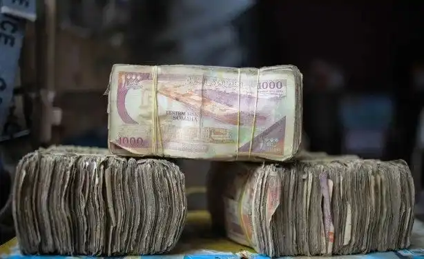 Last Shilling Standing: Mogadishu Traders Turn Their Back on Somalia’s Worn-Out Currency