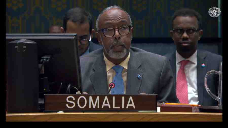 Somali UN Envoy Abukar Dahir Osman Named in Ohio Medicaid Fraud Investigation